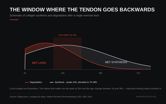 Your Muscle Outruns Your Tendon — That Gap Is Where Injuries Live
